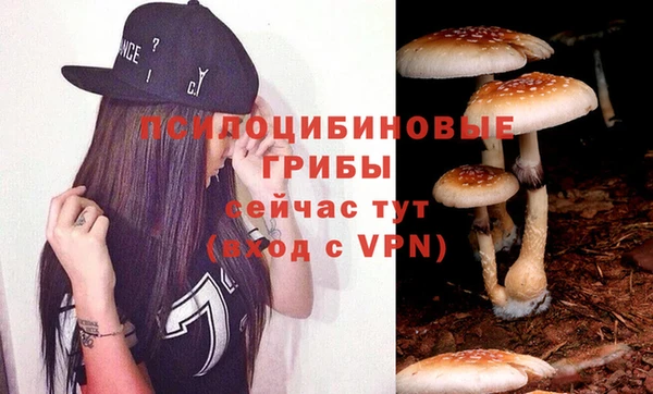 мяу мяу кристалл Дмитров