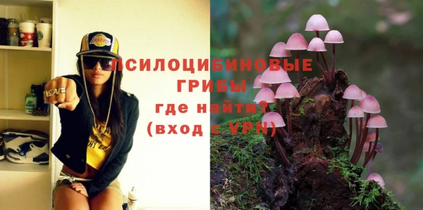 ALPHA-PVP Покров