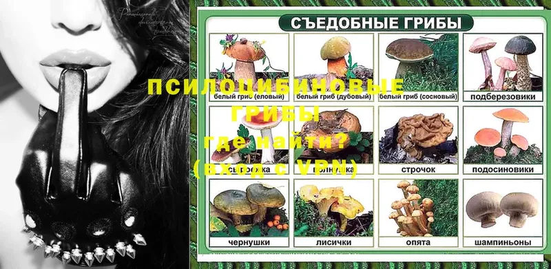 мориарти состав  как найти закладки  Артёмовск  Галлюциногенные грибы Psilocybe  hydra ССЫЛКА 